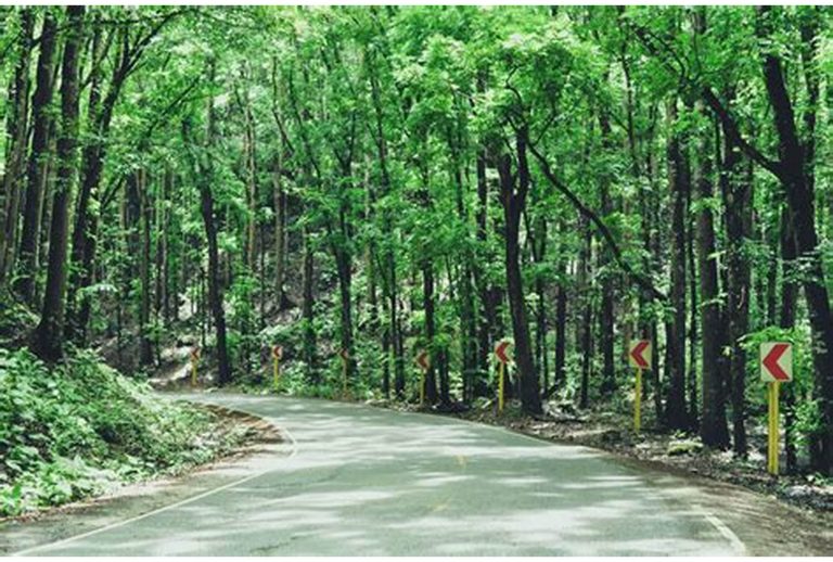 kedarkantha trek TrekVista